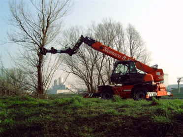 fotos bomen rooien 006